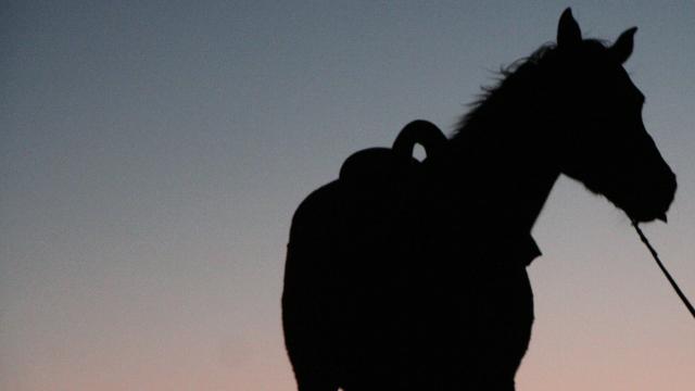 Le Tour Du Lot à Cheval