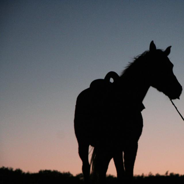 Le Tour Du Lot à Cheval