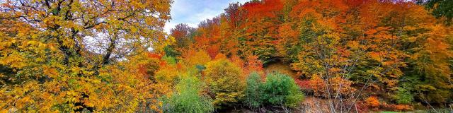 Automne occitanie terrou