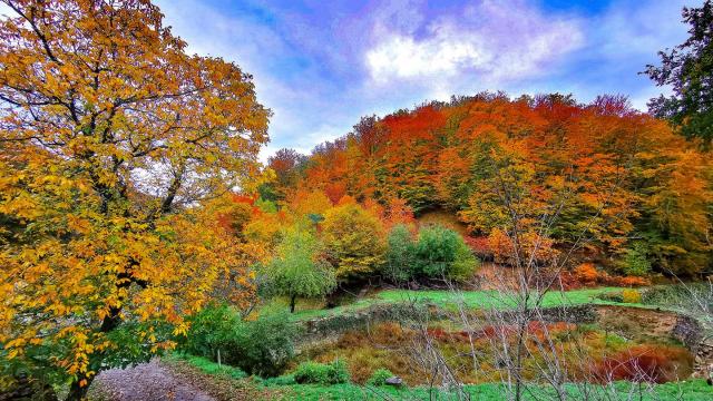 Automne occitanie terrou