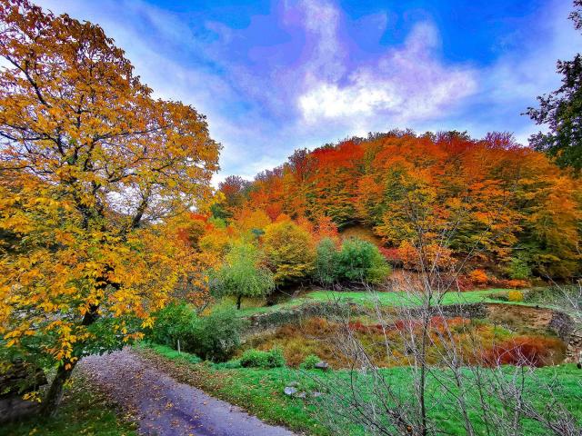 Automne occitanie terrou