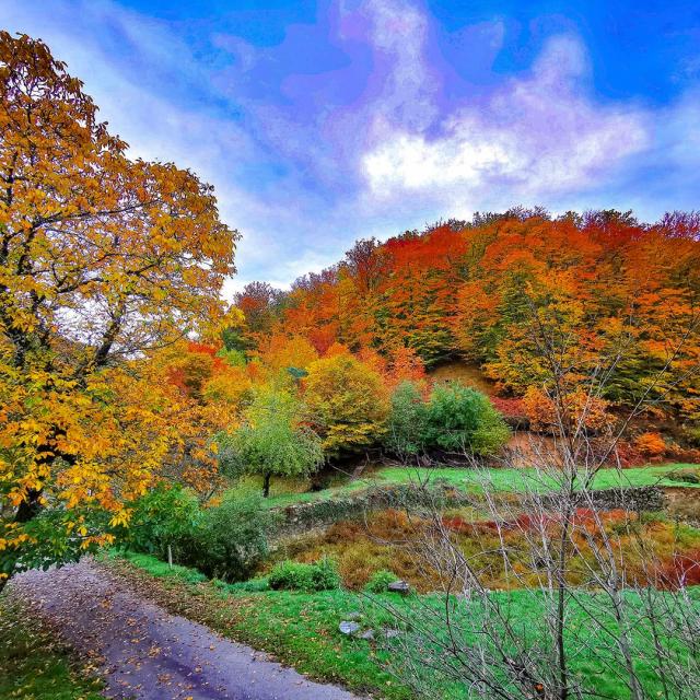 Automne occitanie terrou